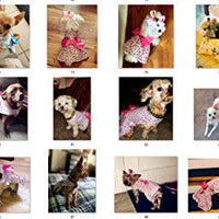 Petroom - Vestido de perro para cachorro, diseño de princesa floral para perros pequeños, gatos para verano - BESTMASCOTA.COM