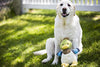HuggleHounds - Juguete de peluche chirriante para perros con nudos para masticadores agresivos - BESTMASCOTA.COM