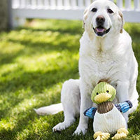HuggleHounds - Juguete de peluche chirriante para perros con nudos para masticadores agresivos - BESTMASCOTA.COM