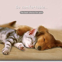 JoicyCo - Cama para perro, almohadilla 35/42/47 en camas lavables, colchón suave para perro, almohadillas antideslizantes para perrera, color de lujo - BESTMASCOTA.COM