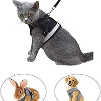 Arnés y correa para gato a prueba de fugas para caminar, chaleco ajustable de malla suave con correa para gatito, cachorro, conejo - BESTMASCOTA.COM