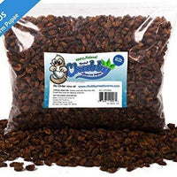 2lb Chubby Dried silkworm pupae para Koi, pescado, reptiles, Terrapin 2lbs - BESTMASCOTA.COM