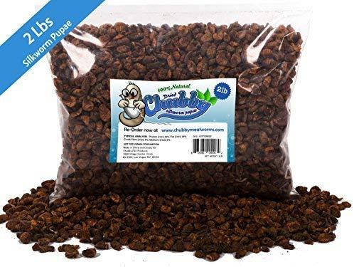 Chubby Dried Silkworm Pupae - 2lb High Protein Treat For Koi, Fish & Reptiles