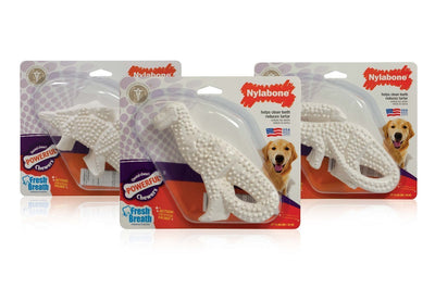 3 Pack Nylabone Durable Dental Chew juguete de dinosaurio (dinosaurio varía) - BESTMASCOTA.COM