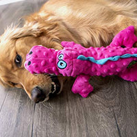 GoDog Just for Me Gators - Peluche de perro con protector para masticar - BESTMASCOTA.COM