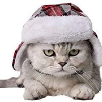 Stock Show Pet Trapper sombrero, Festival de Navidad Costume Cat Dog Old-Fashion Classic Plaid sombrero - BESTMASCOTA.COM