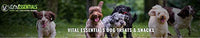 Vital Essentials Freeze-Dried Grain Free Limited Ingredient Dog Treats - BESTMASCOTA.COM