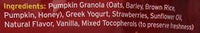 Fruitables Greek Strawberry Yogurt Crunchy Dog Treats - BESTMASCOTA.COM