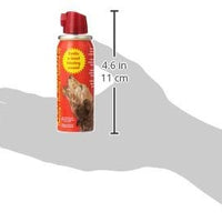 La Compañía de Animales Corrector de Mascotas - BESTMASCOTA.COM