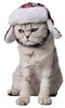 Stock Show Pet Trapper sombrero, Festival de Navidad Costume Cat Dog Old-Fashion Classic Plaid sombrero - BESTMASCOTA.COM