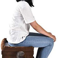 AmazonBasics - Casa plegable para gato - BESTMASCOTA.COM
