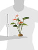 EXO TERRA Planta Anthurium Bush terrario - BESTMASCOTA.COM