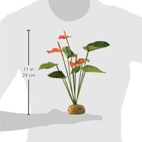 EXO TERRA Planta Anthurium Bush terrario - BESTMASCOTA.COM