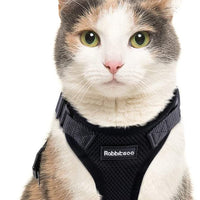 rabbitgoo - Arnés para gato para caminar, a prueba de escape, para gatos pequeños y medianos, arneses ajustables, arnés de malla suave para gatos pequeños, chaqueta de gato segura con tiras reflectantes y 1 anillo de metal - BESTMASCOTA.COM