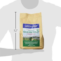 Life Line Pet Nutrition Organic Ocean Kelp Supplement for Skin & Coat, Digestion, Teeth & Gums in Dogs & Cats, 8-Ounce - BESTMASCOTA.COM