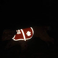 Chaleco reflectante de seguridad para perros, 5 tamaños para adaptarse a perros de 10 libras – 130 libras: alta visibilidad para actividades al aire libre día y noche, mantiene a tu perro visible, seguro de coches y accidentes de caza | Blaze Orange chale - BESTMASCOTA.COM