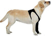 Suitical Recovery - Funda para perro - BESTMASCOTA.COM