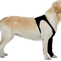 Suitical Recovery - Funda para perro - BESTMASCOTA.COM