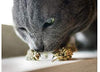 Meowijuana Catnip Buds pasión púrpura - BESTMASCOTA.COM