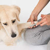 Dog Nail Clippers Pet Nail Trimmers Nail File Set Razor Sharp Blades Safety Guard Sturdy Non Slip Handles Professional Grooming Tool for Large and Small Animals Vet Recommended - BESTMASCOTA.COM