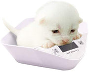 Báscula digital para mascotas y cocina para cachorros recién nacidos o gatitos con un tazón gratis - BESTMASCOTA.COM