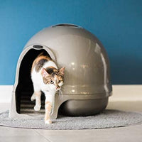 Petmate Booda Dome Clean Step Cat Litter Box 3 Colors - BESTMASCOTA.COM