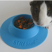 staybowl tip-proof ergonómico Pet Bowl para Conejillo de Indias y otros pequeños mascotas; 1/4-Cup Tamaño; Cielo Azul - BESTMASCOTA.COM