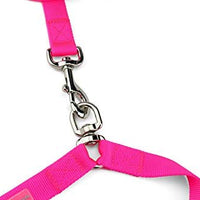 DCbark - Correa doble para perro sin enredos, longitud ajustable sin enredos, con asa acolchada cómoda para 2 perros - BESTMASCOTA.COM