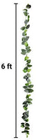 Pangea Leafy Vine - BESTMASCOTA.COM