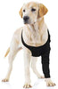 Suitical Recovery - Funda para perro - BESTMASCOTA.COM