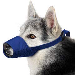 Cuatro banderas grandes, Quick Bozzle, color azul - BESTMASCOTA.COM