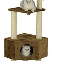 GO Pet Club café 51 en. Cat Árbol Condo - BESTMASCOTA.COM