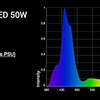 NICREW - Luz LED de arrecife para acuario, luz LED marina de espectro completo regulable para acuarios de agua salada, acuarios de coral, soporte para tanque incluido - BESTMASCOTA.COM