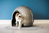 Petmate Booda Dome Clean Step Cat Litter Box 3 Colors - BESTMASCOTA.COM