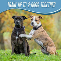 Pet Union PT0Z1 collar de entrenamiento para perros, totalmente impermeable, rango de 1200 pies - BESTMASCOTA.COM