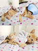 PAWZ - Manta de forro polar para perro, 3 colores, 3 tamaños - BESTMASCOTA.COM