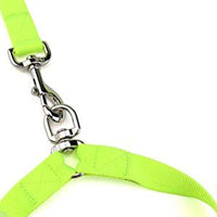 DCbark - Correa doble para perro sin enredos, longitud ajustable sin enredos, con asa acolchada cómoda para 2 perros - BESTMASCOTA.COM