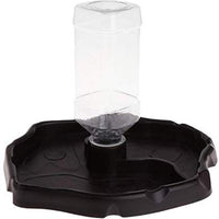 Tfwadmx - Botella de agua para reptiles, tortuga y cuenco de agua, alimentadores automáticos, dispensador de tortuga, dispensador de botella, plato de alimentación para camaleón lagarto - BESTMASCOTA.COM