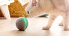 Pelota de mimbre de animal, 100% automática e interactiva para mantener a tus perros y gatos a la compañía todo el día, la alegría de tu mascota cuando estás solo en casa. - BESTMASCOTA.COM