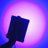 Quans - Luz de curado UV, Negro, QSH20U-220B, 20.00watts, 120.00 volts - BESTMASCOTA.COM