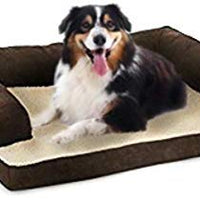 Aspen Pet Oval with Bone Applique - BESTMASCOTA.COM