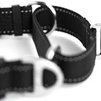 Collar de entrenamiento de nailon Mighty Paw Martingale. Nuestro collar de zapatillas de entrenamiento aprobado limitado. Collar de cincha modificado para una fuerza controlada para un entrenamiento óptimo. Costuras reflectantes para mantener a tu perro s - BESTMASCOTA.COM