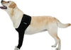 Suitical Recovery - Funda para perro - BESTMASCOTA.COM