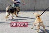 Pet convincer 2 – Air Instrumento de formación para perros - BESTMASCOTA.COM