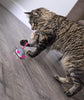 Petlinks Electronic Motion Toys for Cats - BESTMASCOTA.COM