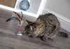 Petlinks Electronic Motion Toys for Cats - BESTMASCOTA.COM