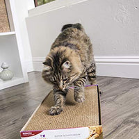 SmartyKat - Rascador para gatos - BESTMASCOTA.COM