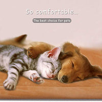 JoicyCo - Cama para perro, almohadilla 35/42/47 en camas lavables, colchón suave para perro, almohadillas antideslizantes para perrera, color de lujo - BESTMASCOTA.COM