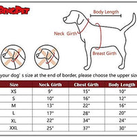 BINGPET BA1002-1 - Patrones de seguridad impresos para cachorros y mascotas - BESTMASCOTA.COM