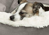 Cama acogedora Best Friends by Sheri, cama de lujo para perros y gatos con cobija, cálida y segura. Brinda apoyo para la cabeza, el cuello y las articulaciones, lavable a máquina, parte inferior resistente al agua - BESTMASCOTA.COM